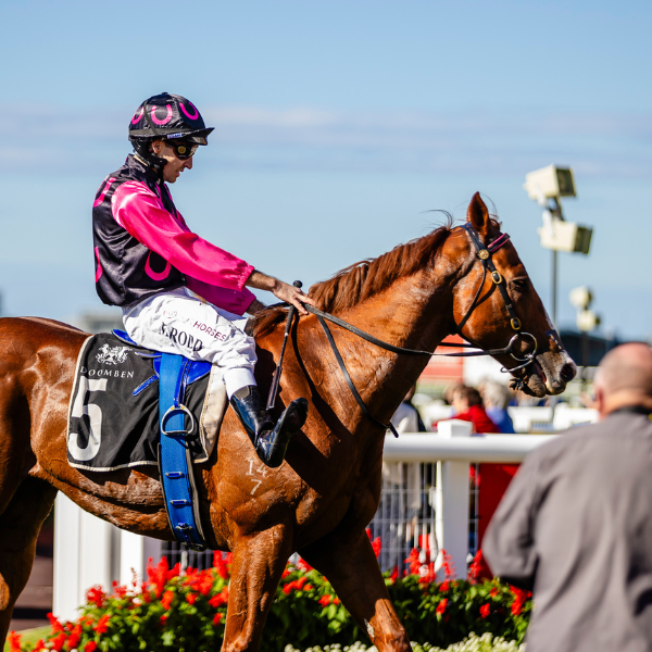 Eagle Farm Raceday